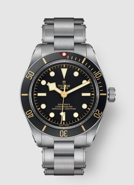 Replica Tudor Black Bay 58 Watch M79030N-0001